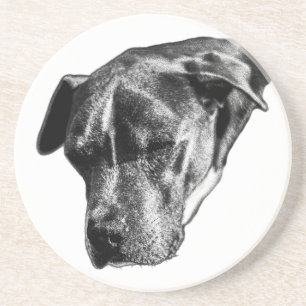 Porta-copos Tabletop Tranquil — Pitbull Mix Mini