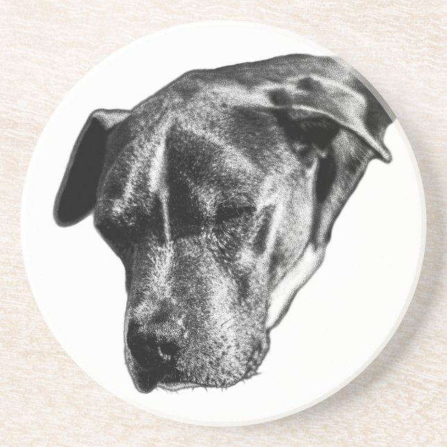 Porta-copos Tabletop Tranquil — Pitbull Mix Mini (Frente)