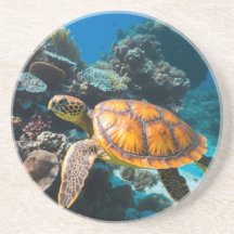 Tartaruga Marinha Recife de Coral Subaquático