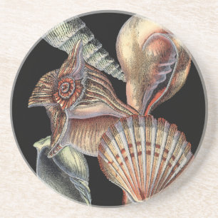 Porta-copos Tesouros do mar