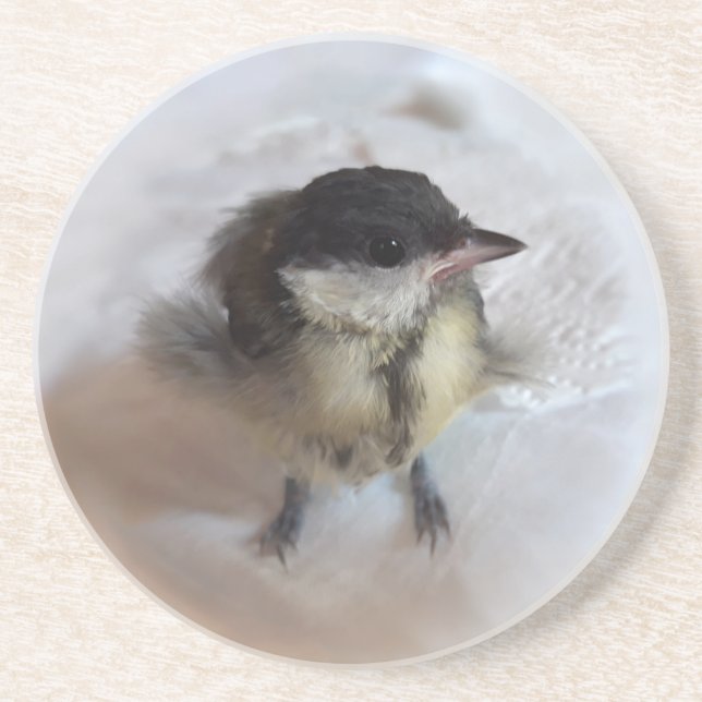 Porta-copos Tidi, meu Pássaro, o Parus Major (Frente)