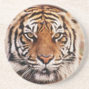 Porta-copos Tigre-de-sumatra