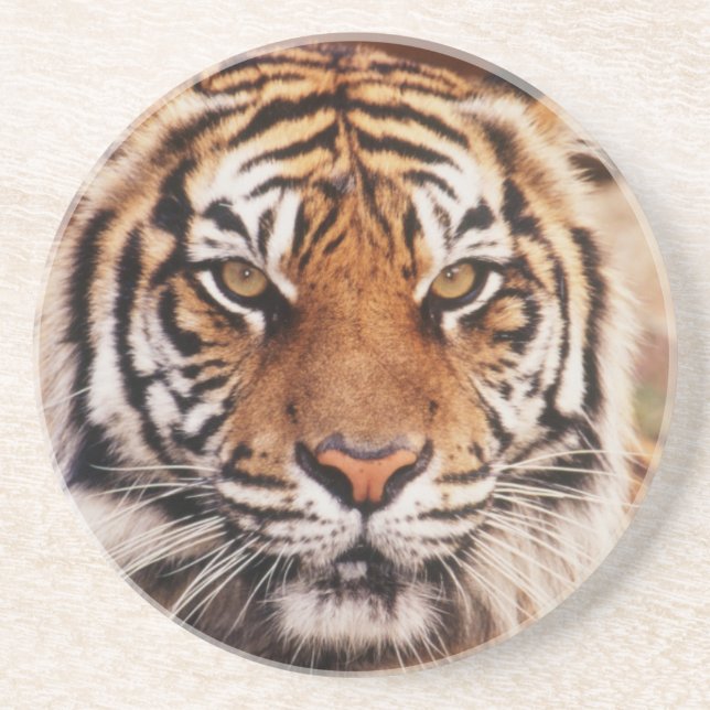 Porta-copos Tigre-de-sumatra (Frente)
