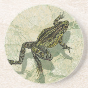 Porta-copos Toad Swinning na água