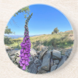 Porta-copos Tranquilidade do campo inglês