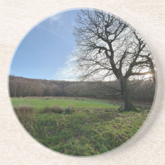 Porta-copos Tree view..