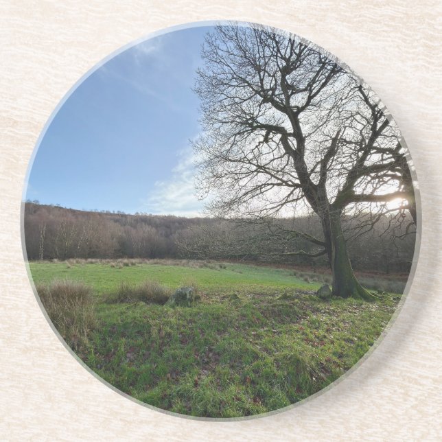 Porta-copos Tree view.. (Frente)