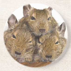 Porta-copos Trio aplanando de Degu