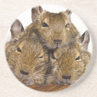 Porta-copos Trio aplanando de Degu