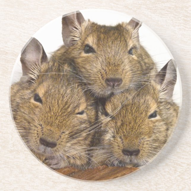 Porta-copos Trio aplanando de Degu (Frente)