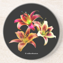 Porta-copos Trio Elegante de Daylilies Florais Amarelas e Rosa