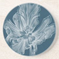 Tulipa II monocromática