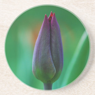 Porta-copos Tulipa Roxa Fresca em Flor Pedra de Arenito Porta-