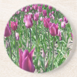 Porta-copos Tulipas Roxas Regais