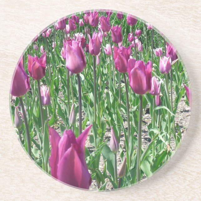 Porta-copos Tulipas Roxas Regais (Frente)