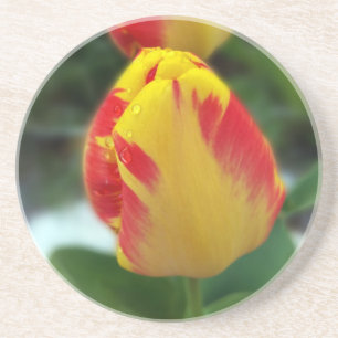 Porta-copos tulipas vermelhas amarelas