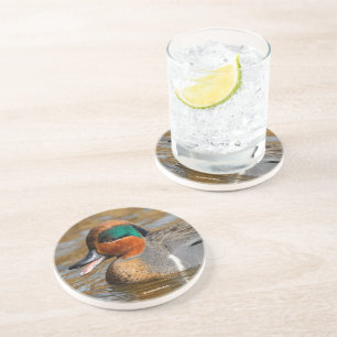 Porta-copos Um Pato de Teal de Asas Verdes Chatty no Pond