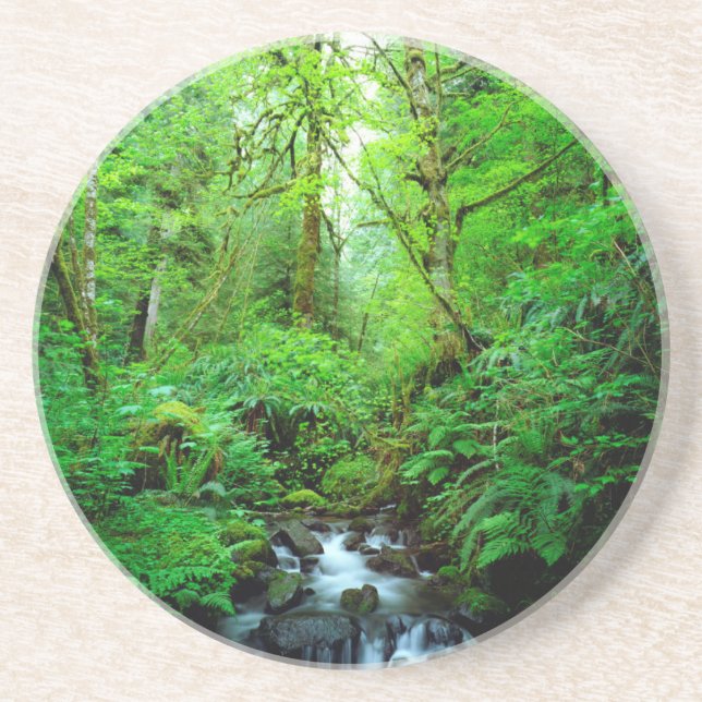 Porta-copos Um riacho numa floresta primária (Frente)