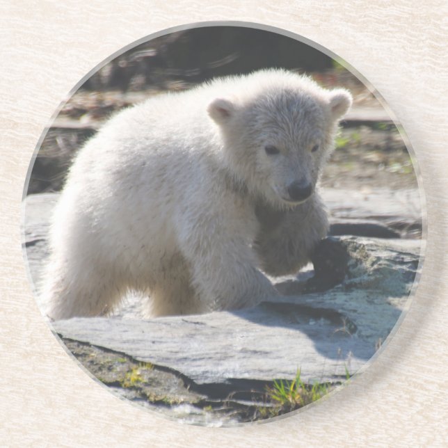 Porta-copos Urso 07 (Frente)