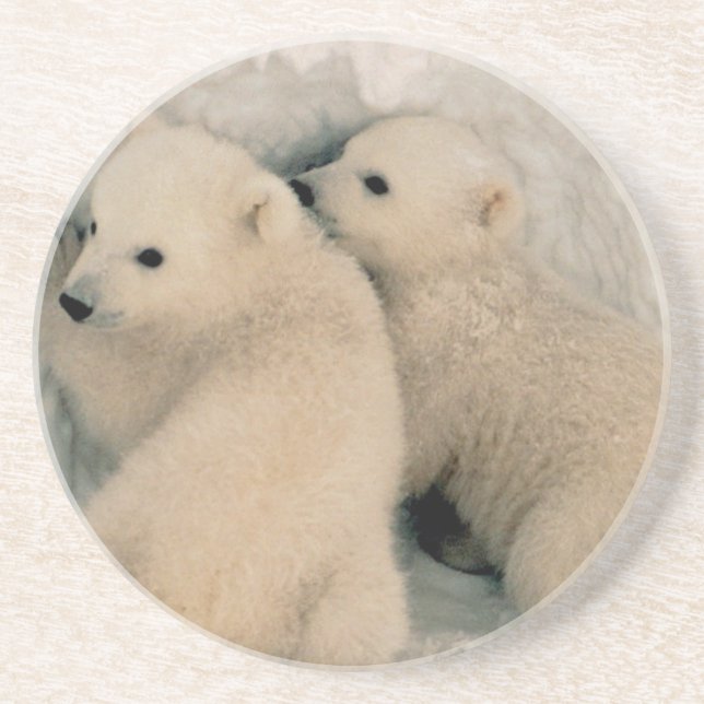 Porta-copos Urso Cubs polar do Alasca (Frente)