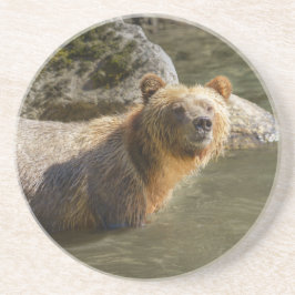 Porta-copos Urso Grizzly Selvagem No Rio Orford