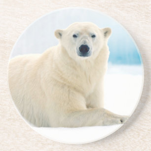 Porta-copos Urso polar adulto grande javali no gelo de verão