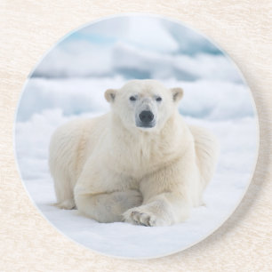 Porta-copos Urso polar adulto no gelo do verão