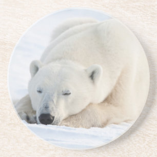 Porta-copos Urso Polar no inverno