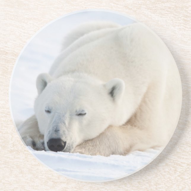 Porta-copos Urso Polar no inverno (Frente)