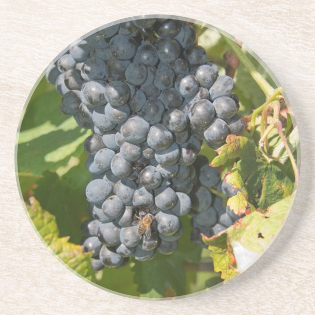 Porta-copos Uruguai, Montevidéu, Área de Colon. Bodegas (Frente)