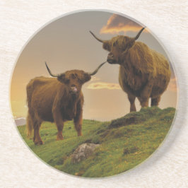 Porta-copos Vacas Do Planalto Ao Sol