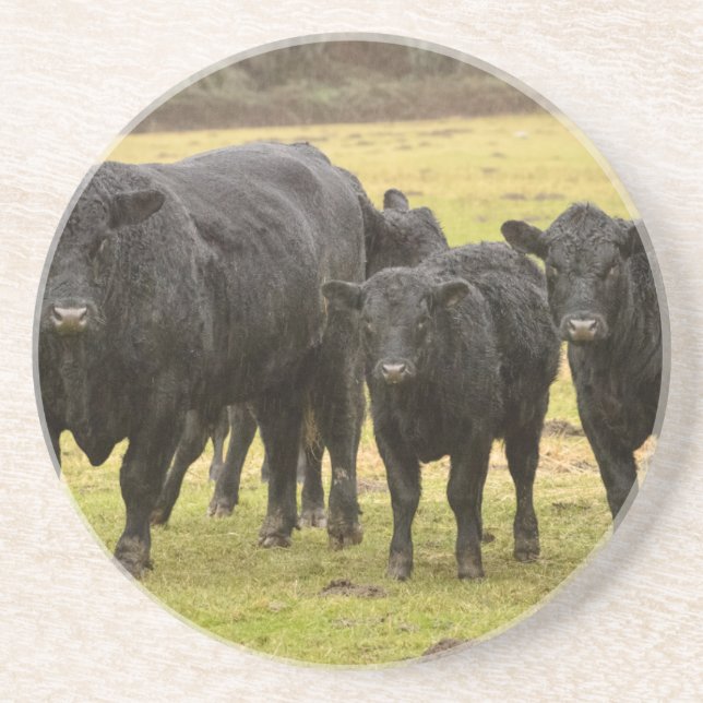 Porta-copos Vacas na chuva (Frente)