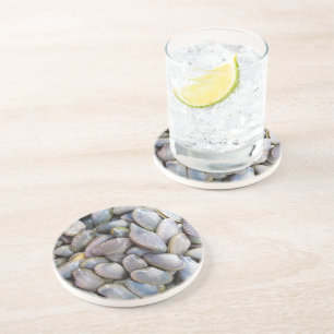 Porta-copos Venus Clam [ห อ ย ล า ย]