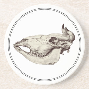 Porta-copos Vintage Cow Skull Illustration Sandstone Porta cop
