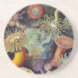 Porta-copos Vintage Haeckel Sea Anemone