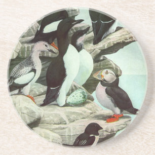 Porta-copos Vintage Puffins e Aves Aquáticas de Louis Fuertes