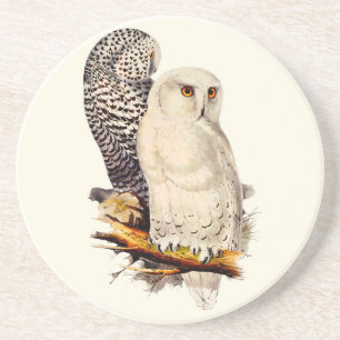 Porta-copos Vintage Snowy Owl Drawing