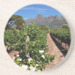 Porta-copos Vista das Vinhas. Stellenbosch