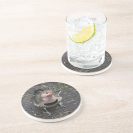 Porta-copos Vista de Pássaro do Pica-Pau Norte