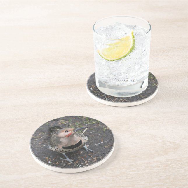 Porta-copos Vista de Pássaro do Pica-Pau Norte (Lateral)