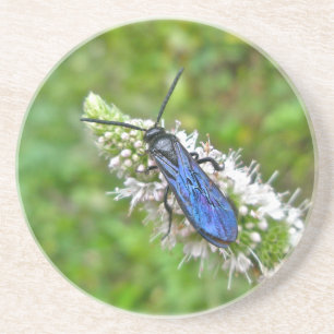 Porta-copos Wasp Scoliid com Bandas Duplas na Casa da Moeda