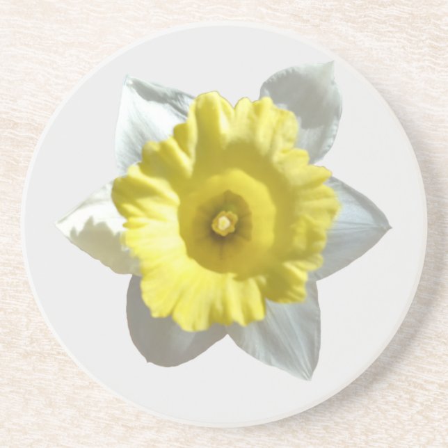 Porta copos White Daffodil Sandstone (Frente)