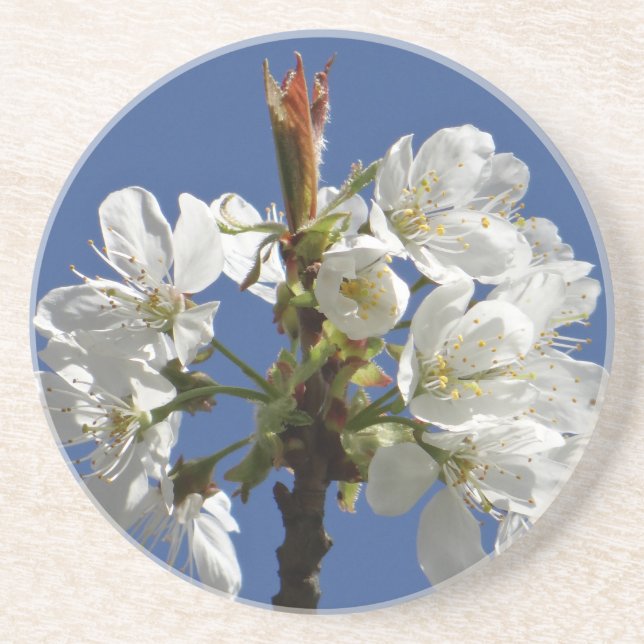 Porta-copos White Primavera Bloom (Frente)