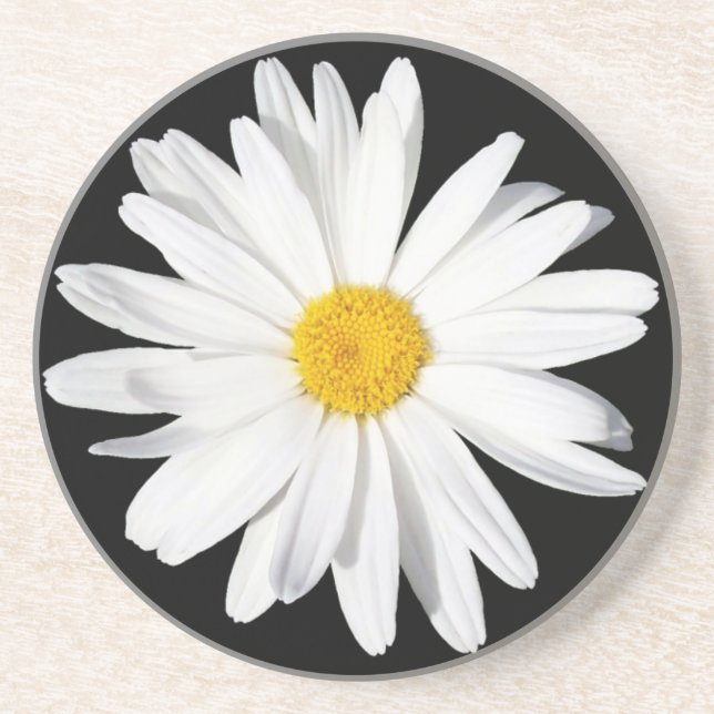 Porta copos White Shasta Daisy Sandstone (Frente)