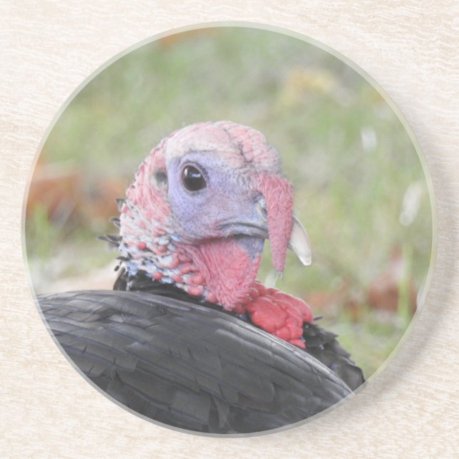 Porta-copos Wild Turkey (Frente)