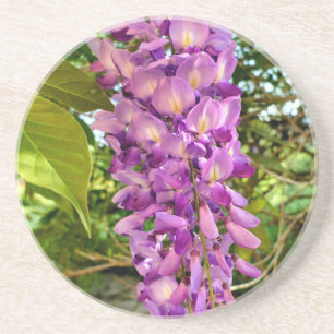 Porta-copos Wisteria Bloom