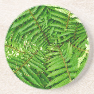 Porta-copos Woodland Ferns