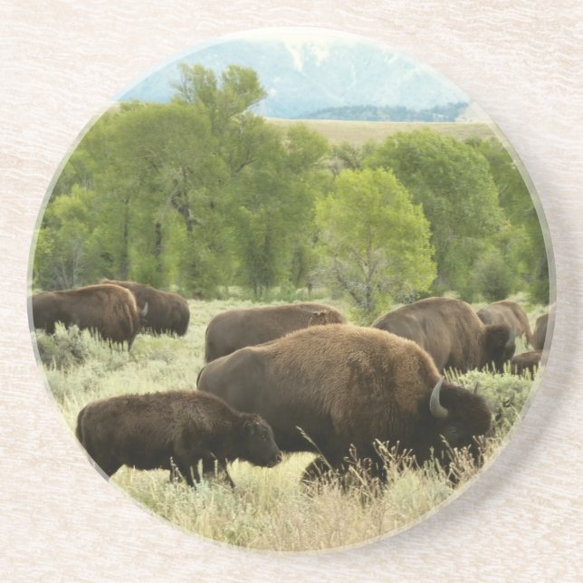 Porta-copos Wyoming Bison Nature (Frente)