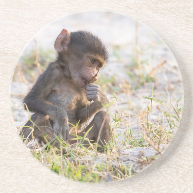 Porta-copos Young Baboon (Frente)