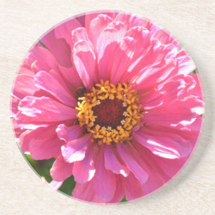 Porta-copos Zinnia Rosa